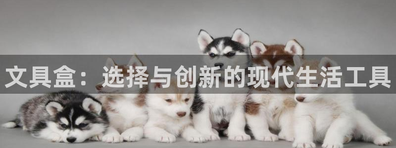 九游会官网直营店：文具盒：选择与创新的现