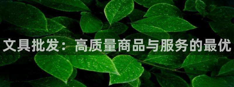 亚游国际九游会：文具批发：高质量商品与服