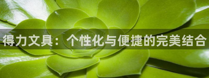 九游会平台官：得力文具：个性化与便捷的完