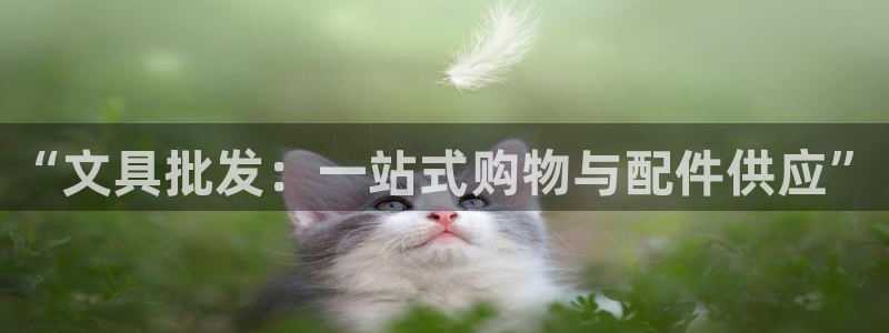 j9九游会路单：“文具批发：一站式购物与