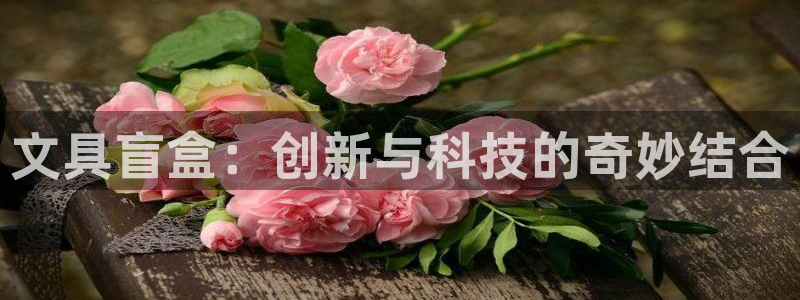 九游会网站：文具盲盒：创新与科技的奇妙结