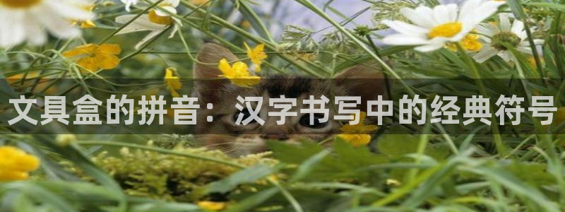 打开九游会：文具盒的拼音：汉字书写中的经