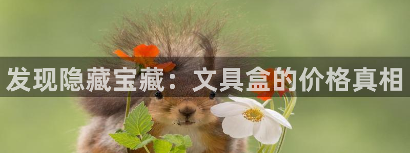 九游会网址多少：发现隐藏宝藏：文具盒的价