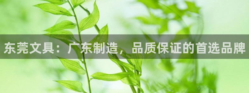 九游会凯时：东莞文具：广东制造，品质保证