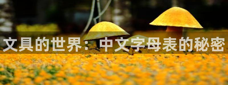 澳门九游会：文具的世界：中文字母表的秘密