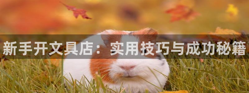 九游贵宾会：新手开文具店：实用技巧与成功