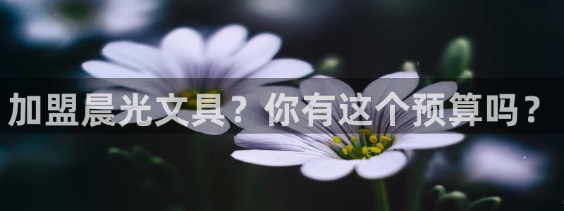九游会真人官网：加盟晨光文具？你有这个预