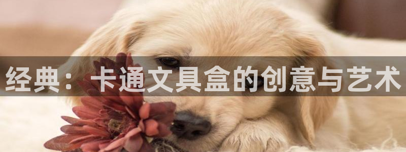 九游会赌钱：经典：卡通文具盒的创意与艺术