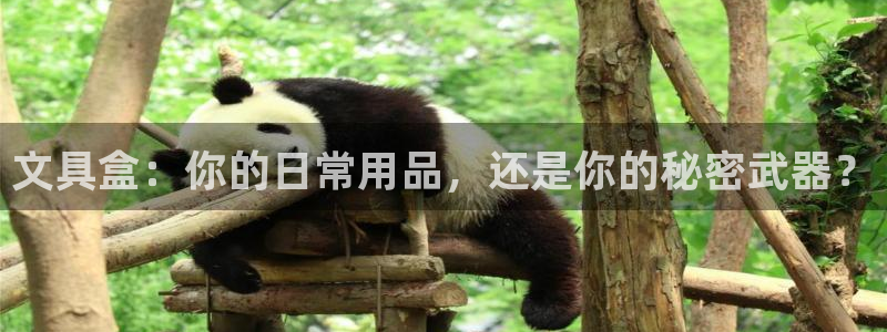 登录丨九游会：文具盒：你的日常用品，还是