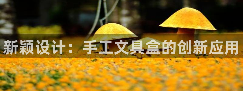 ag亚洲九游会登 口：新颖设计：手工文具