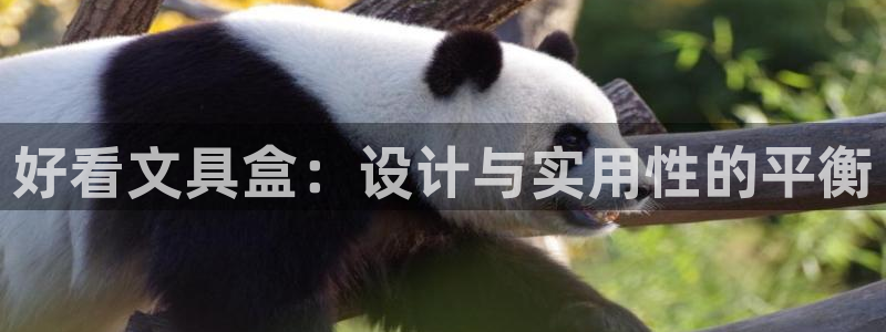 九游会提款未到显示成功：好看文具盒：设计