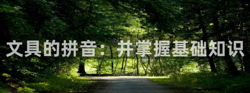 九游会最新下载安装：文具的拼音：并掌握基